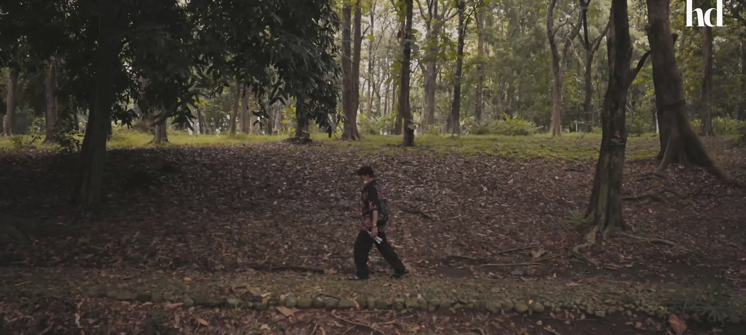 The burial ground where a survivor’s family ended, in the opening scene of the film